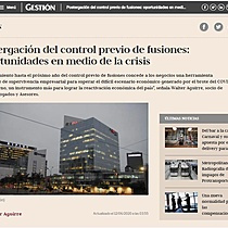 Postergacin del control previo de fusiones: oportunidades en medio de la crisis